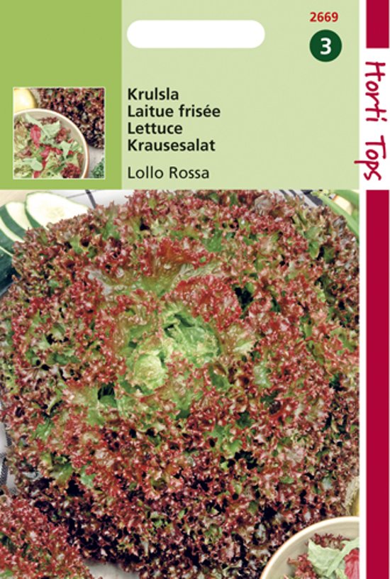 Lettuce Lollo Rossa (Lactuca) 1600 seeds